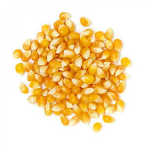 Maíz Popcorn